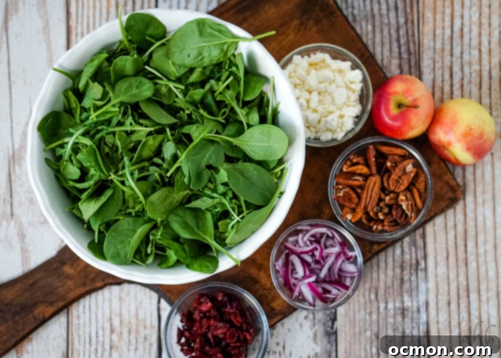 An inviting display of fresh salad ingredients: a bowl of vibrant spinach, crumbled feta cheese, two crisp apples, golden toasted pecans, delicate slices of red onion, and ruby-red dried cranberry pieces, all waiting to be combined. 