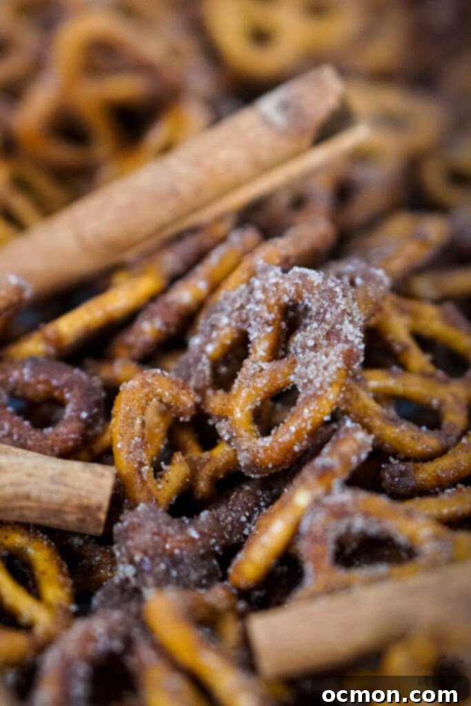 Golden Cinnamon Knots 2 A closeup of Cinnamon Sugar Pretzels with cinnamon sticks.