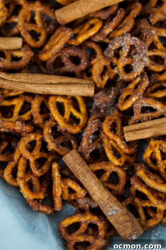 Golden Cinnamon Knots 3 Cinnamon Sugar Pretzels and cinnamon sticks on a blue towel.