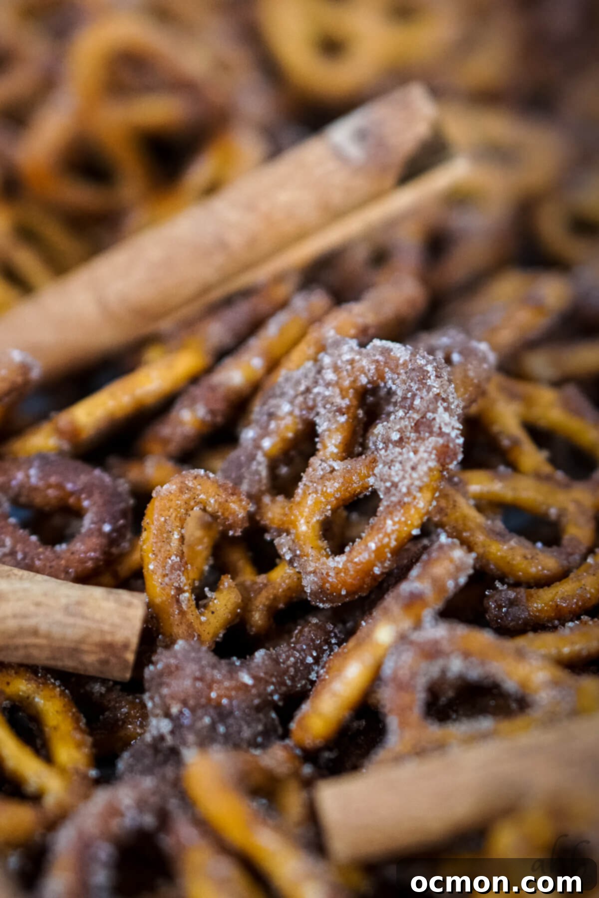 Golden Cinnamon Knots 8 img 10122 7