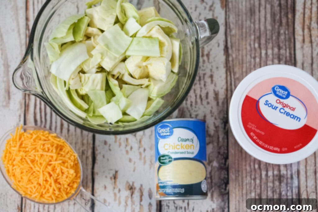 Effortless Creamy Cabbage Bake 4 Six cups of freshly chopped green cabbage, a block of sharp cheddar cheese, a can of cream of chicken soup, and a tub of sour cream laid out as ingredients.