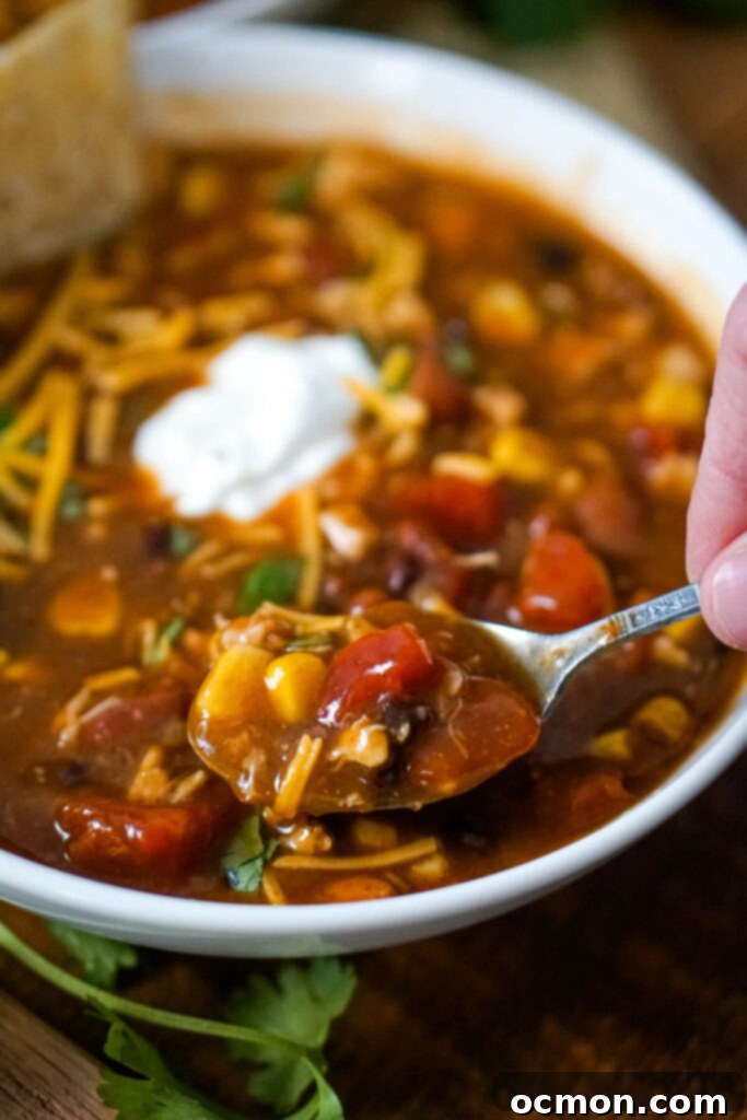 A spoonful of 7 Can Chicken Taco Soup.