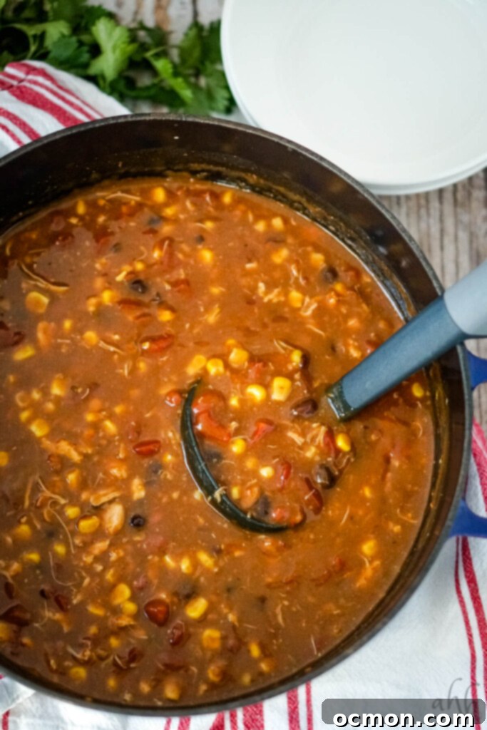 A stockpot full of chicken taco soup with a ladle to one side. 