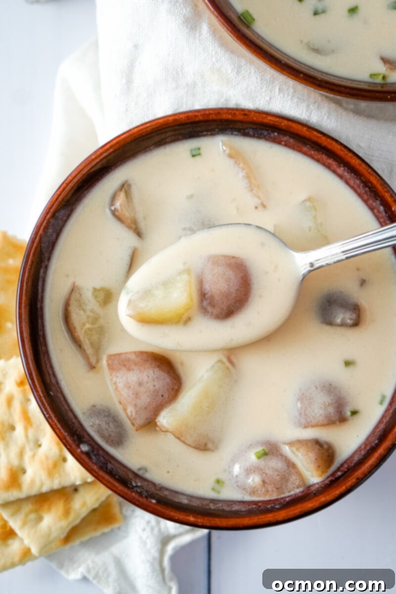 A close-up of a spoonful of simple potato soup above a bowl, showcasing its creamy texture and potato chunks.