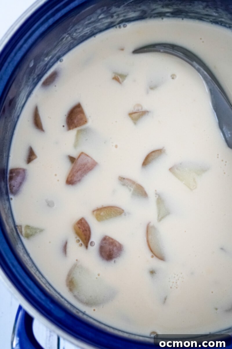 The creamy Alfredo sauce has been smoothly added to the pot of tender potatoes and broth, being stirred to combine into a luscious soup.