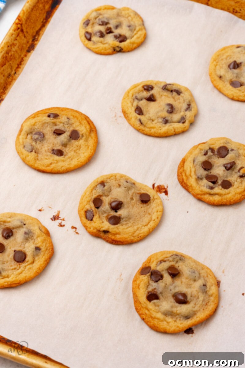 Freshly baked malted chocolate chip cookies, with golden-brown edges and melted chocolate, rest on parchment paper on a baking sheet, cooling slightly.