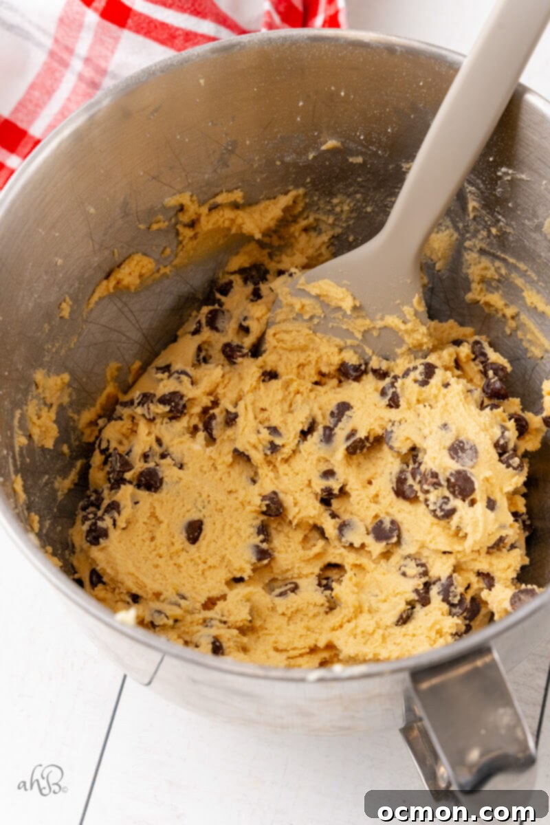 The malted chocolate chip cookie dough has been perfectly formed in the metal bowl, and the chocolate chips are being stirred in by hand, ensuring even distribution.