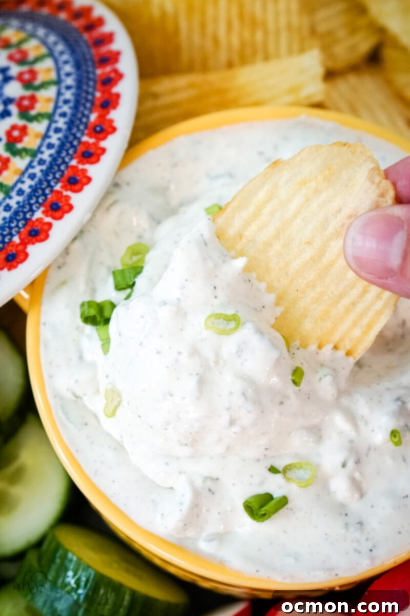 A chip is dipped in the green onion dip.