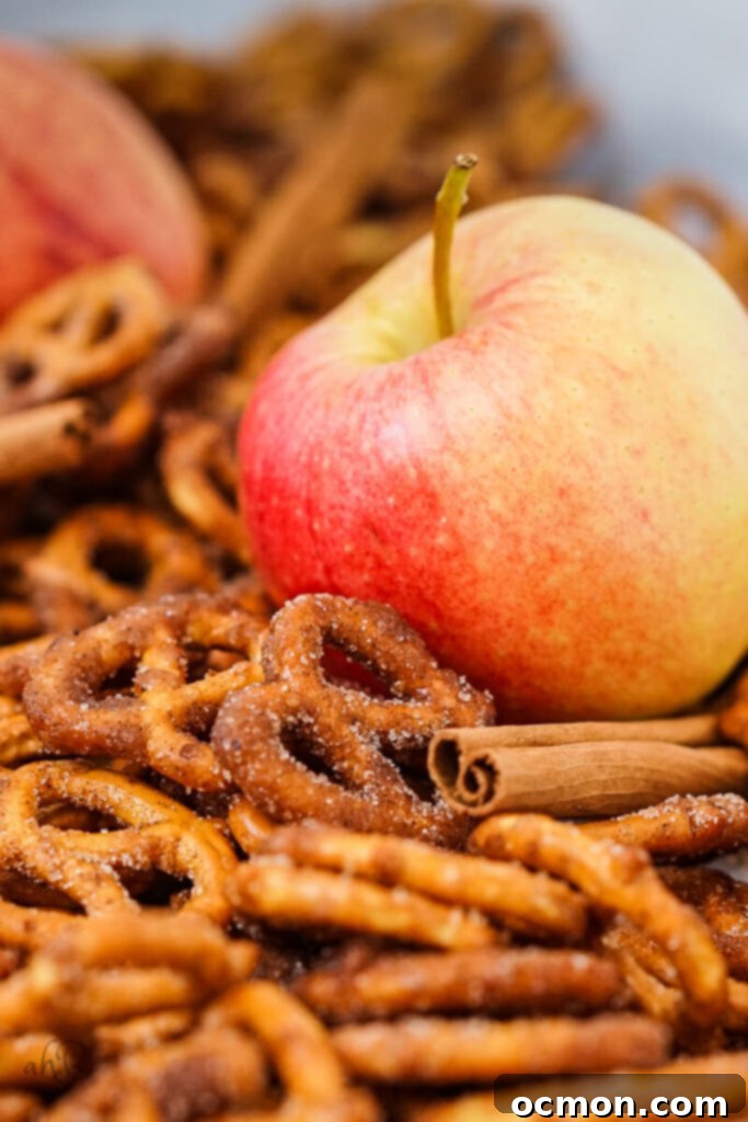 Spiced Apple Cider Pretzels 4 A close-up image of golden-brown apple cider spiced pretzels, perfectly coated and ready to eat, with a fresh apple peeking in from the side.