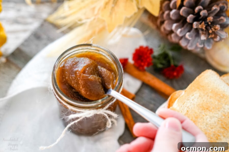 Spiced Pumpkin Delight 2 A jar of dark, rich pumpkin butter with a spoon, ready to be served.