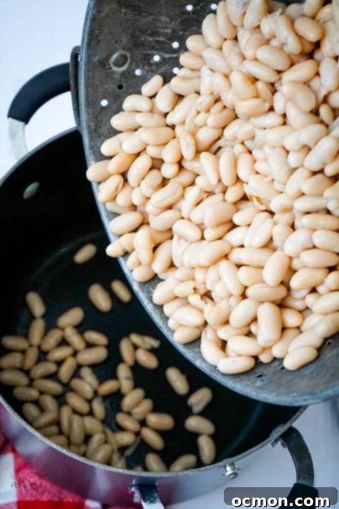 Drained white beans are carefully poured into a large stock pot, ready to be combined with the other chili ingredients.