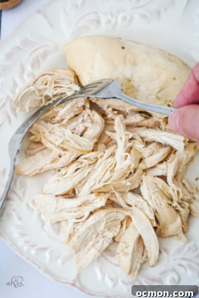 Cooked chicken breasts being shredded with two forks on a white plate, showcasing the tenderness of the meat, ready to be added back into the soup.