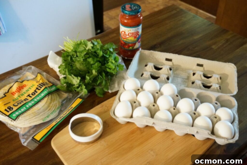 Corn tortillas, cilantro, salsa, eggs, a biscuit cutter and a cutting board sitting on a counter. 
