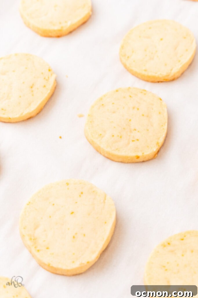 Orange Zest Chocolate Shortbread 11 Shortbread cookies neatly arranged on a baking sheet, featuring a double layer of parchment paper for optimal baking results and even cooking.