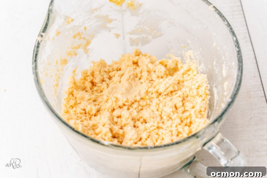 Orange Zest Chocolate Shortbread 8 The ingredients in the bowl have come together to form a crumbly yet cohesive shortbread dough, ready for shaping and chilling.