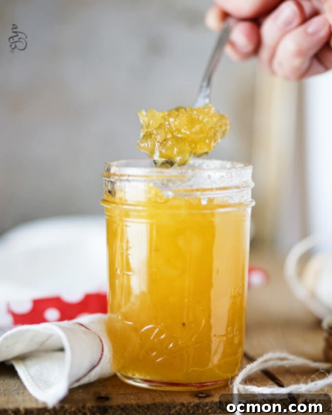Tropical Pineapple Preserve 4 Small Batch Pineapple Jam in a Jar