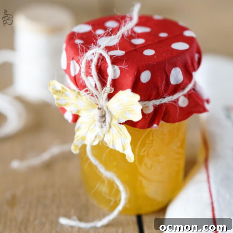 Tropical Pineapple Preserve 5 Homemade Pineapple Jam on Crackers