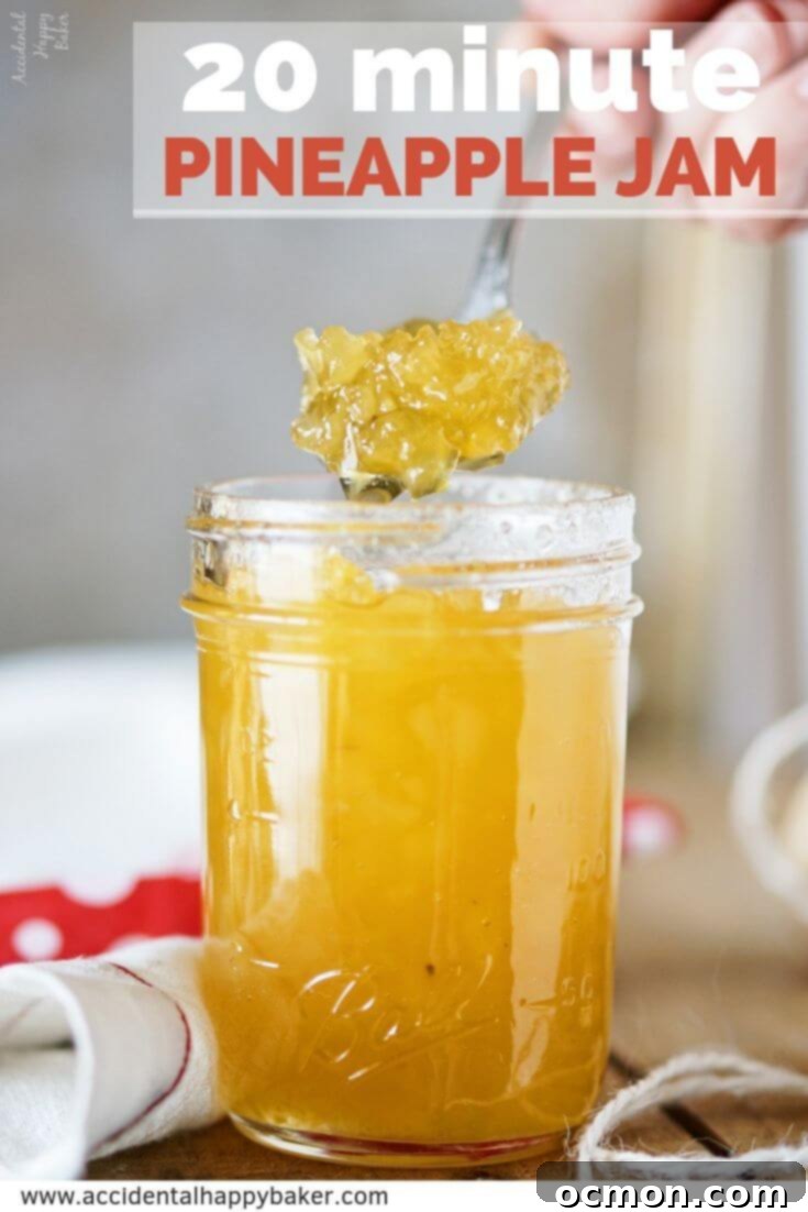 Tropical Pineapple Preserve 7 2 ingredients, 20 minutes, Easy Pineapple Jam Recipe