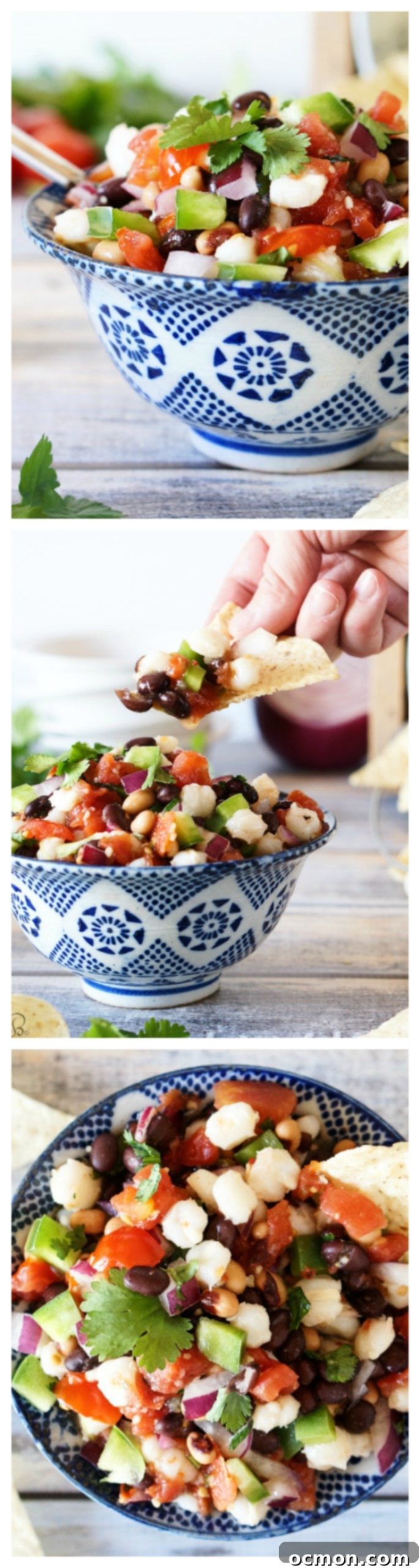 Desert Jewel Salad 2 Southwest Caviar: A Refreshing Bean Salsa Dip
