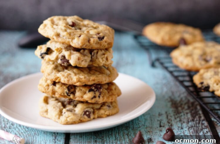 Triple Berry Chocolate Chip Cookies