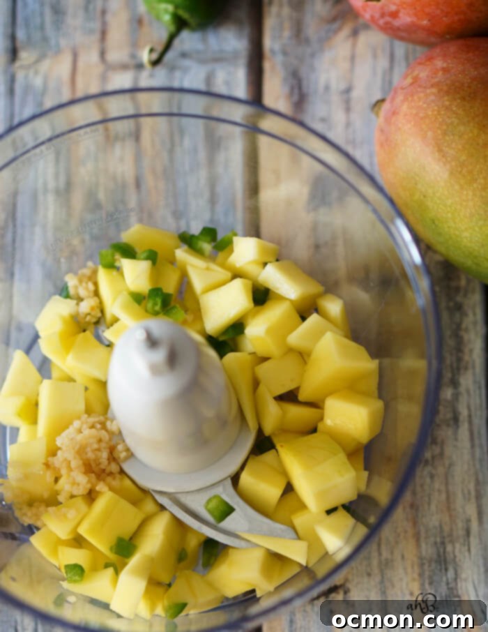 Mango Jalapeno Barbecue Sauce