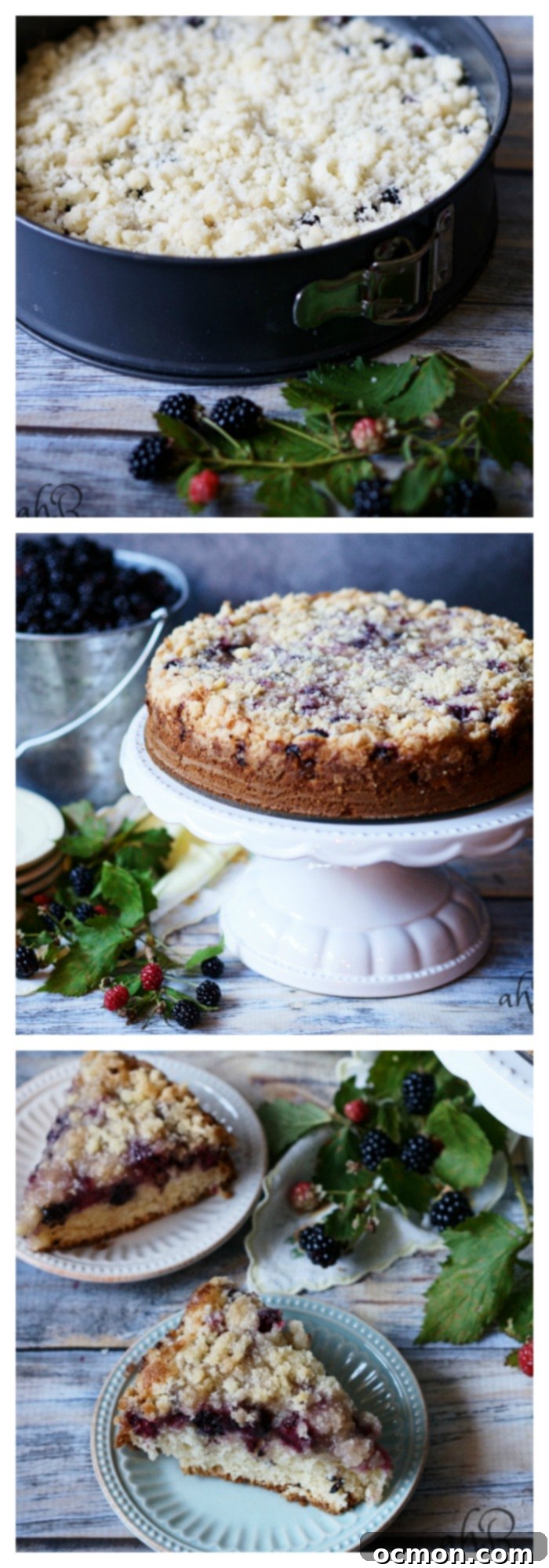 Blackberry Crumble Coffee Cake 2 Delicious Blackberry Crumb Kuchen with a dusting of powdered sugar.