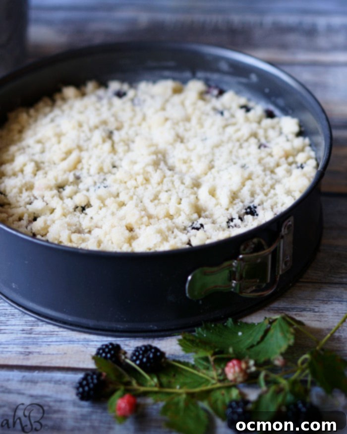 Blackberry Crumble Coffee Cake 4 Blackberry Crumb Kuchen slice showing layers of cake, berries, and crumb topping.