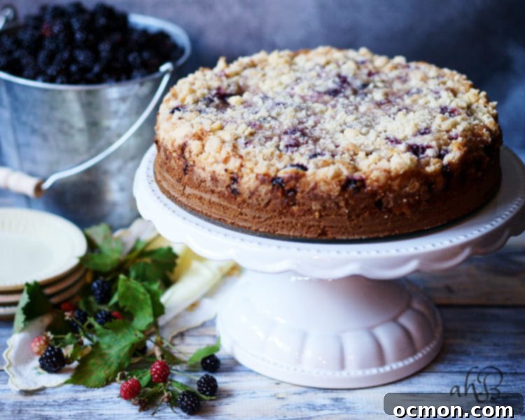 Blackberry Crumble Coffee Cake 5 A beautiful, baked Blackberry Crumb Kuchen, golden brown and ready to serve.