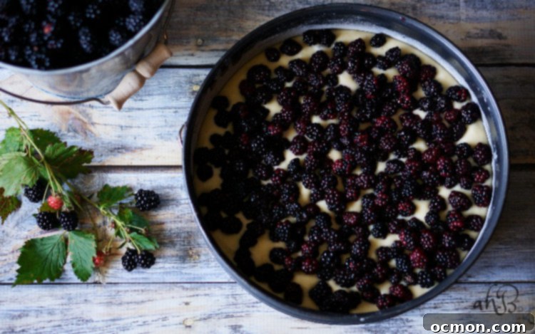 Blackberry Crumble Coffee Cake 6 Blackberry Crumb Kuchen with a serving of berries on top