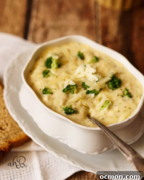 Velvety Cheddar Broccoli Soup 3 Close-up of a bowl of creamy broccoli cheddar soup