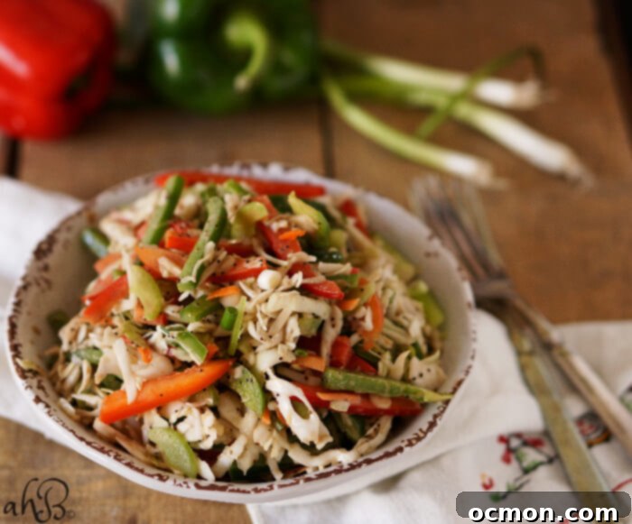Vibrant Pepper Slaw 7 Pepper Slaw