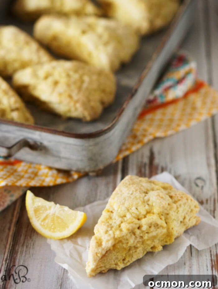 A top-down view of freshly baked lemon sugar scones on a cooling rack, showcasing their rustic charm and golden tops.