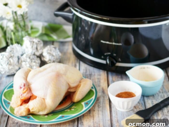 Slow Cooker Tender Roasted Chicken 4 Close-up of a perfectly seasoned whole chicken before being placed in the slow cooker.