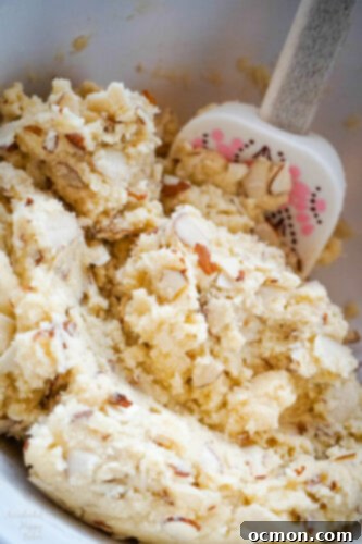 Artisan Chocolate Almond Biscotti 8 Sliced almonds are folded into the cookie dough.