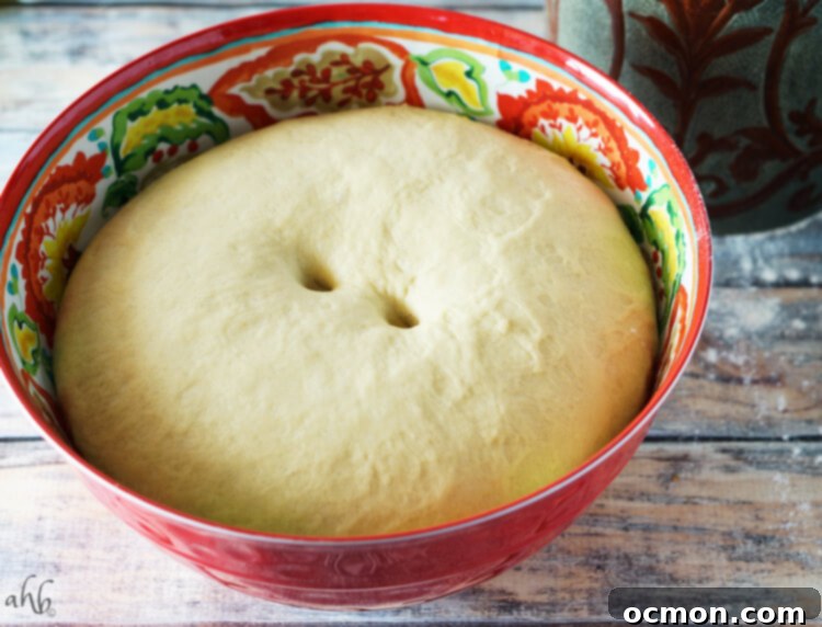 The poke test for dough rise