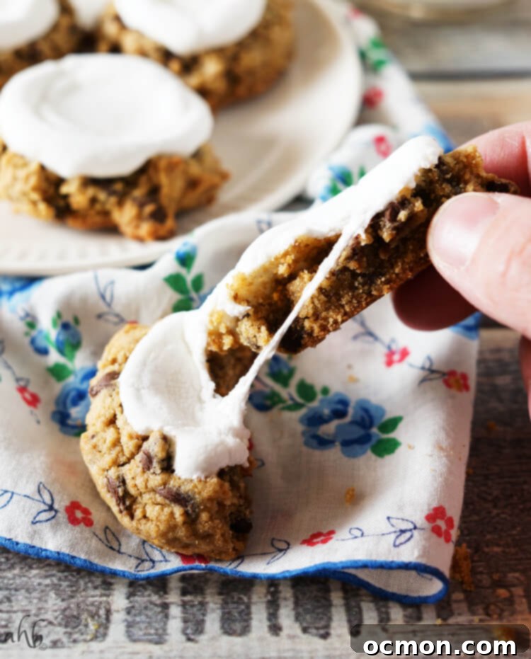 Soft and chewy S'mores Cookies loaded with chocolate chips, marshmallows, and graham cracker flavor, ready to be enjoyed.