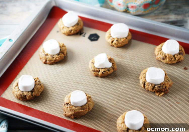 Close-up of a soft and chewy S'mores cookie, showing the melted chocolate and perfectly toasted marshmallow top.