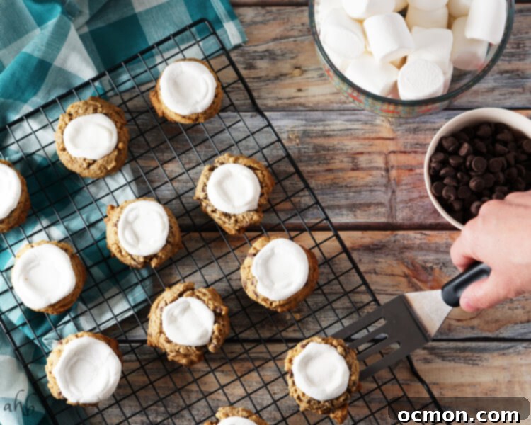 Several homemade S'mores Cookies on a cooling rack, showcasing their golden bases, melted chocolate chips, and puffy, slightly browned marshmallows.