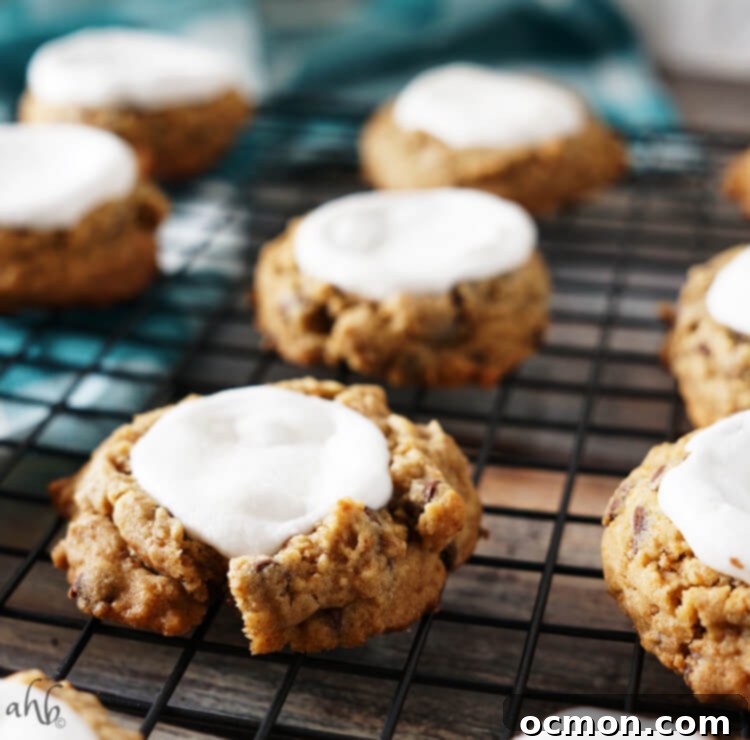 Freshly baked S'mores Cookies, featuring soft graham cracker cookies, melted chocolate chips, and golden-brown toasted marshmallows.