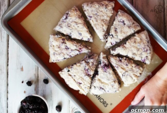 Decadent Blackberry Cream Cheese Scones 4 Freshly baked Blackberry Cream Cheese Scones cooling on a wire rack