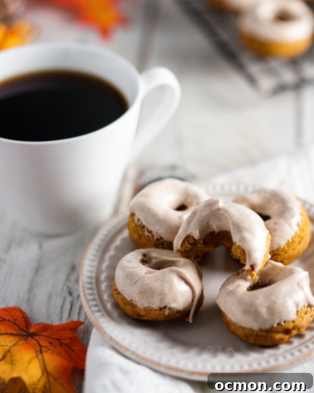 Spiced Pumpkin Cream Cheese Donuts 4 Three perfectly glazed mini pumpkin roll donuts on a white plate, showing the creamy texture of the glaze