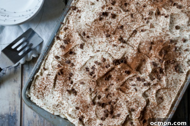 Tiramisu Sheet Cake Bliss 4 Tiramisu Sheet Cake