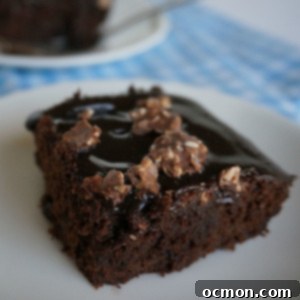 Fudgy Brownies Crowned with Hazelnut Ganache 2 A close-up of a square fudge brownie topped with hazelnut ganache and crushed Ferrero Rocher.