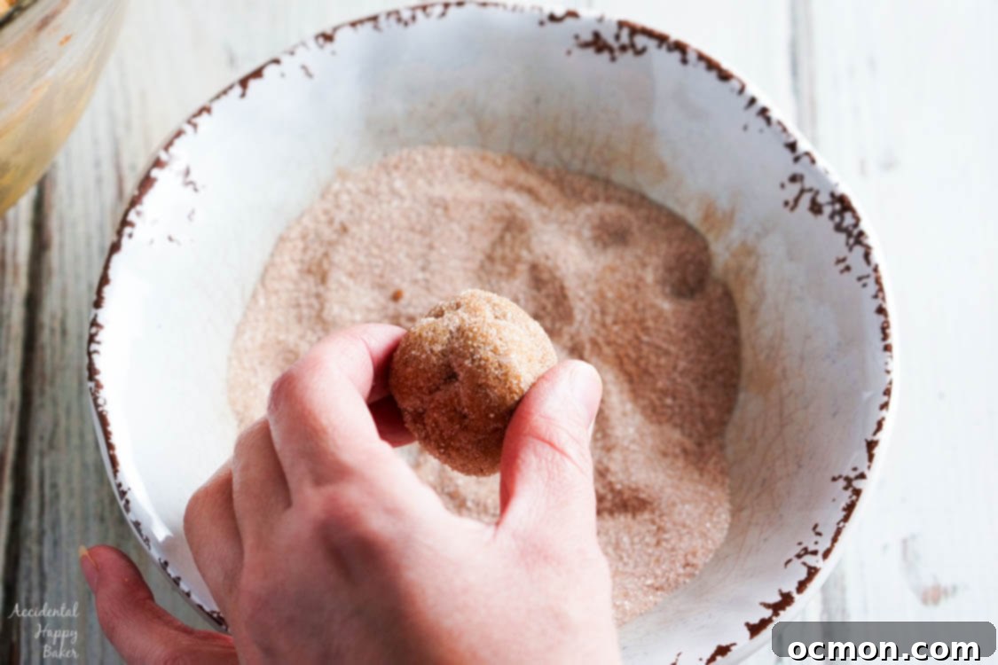A perfectly shaped ball of pumpkin gingersnap cookie dough generously rolled in a cinnamon sugar mixture.