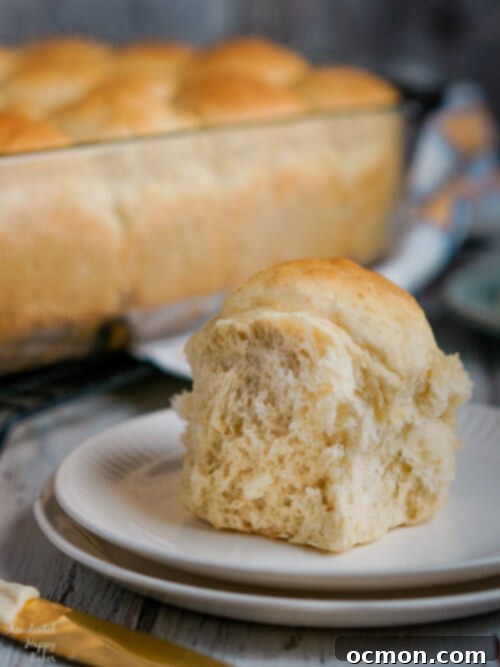 An oatmeal dinner roll sitting on a plate
