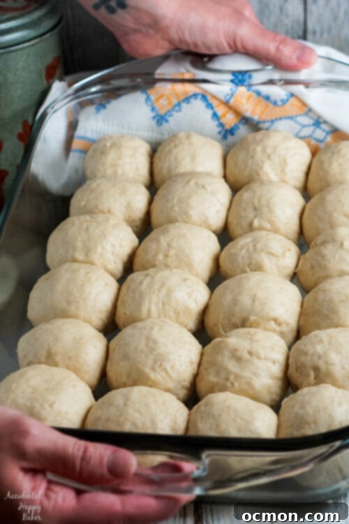 The oatmeal rolls are shaped and placed in a pan to rise again. 