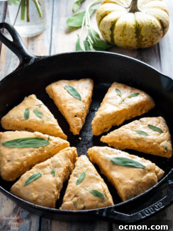 Golden Sage Harvest Scones 4 Sweet Potato and Sage Scones