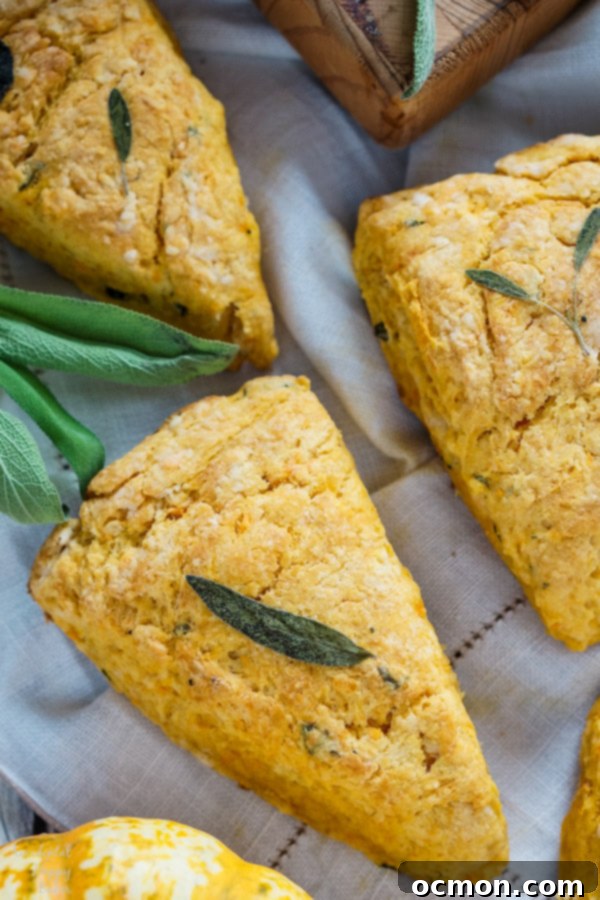 Golden Sage Harvest Scones 5 Sweet Potato and Sage Scones