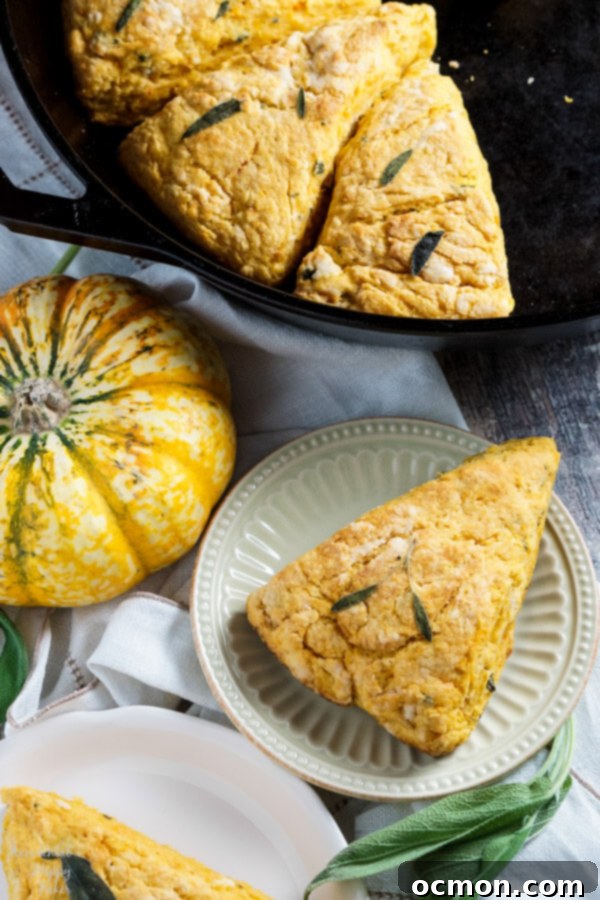 Golden Sage Harvest Scones 6 Sweet Potato and Sage Scones