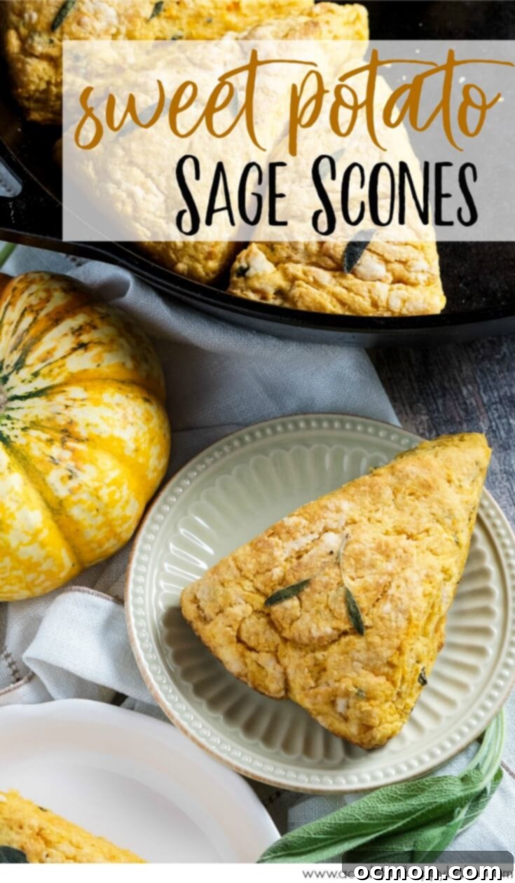 Golden Sage Harvest Scones 7 Sweet Potato Sage Scones